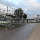  Sproing Pics (11/100)